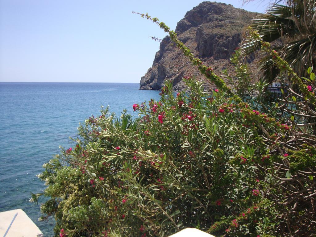 Lendas Paradise Studios Léntas Oda fotoğraf